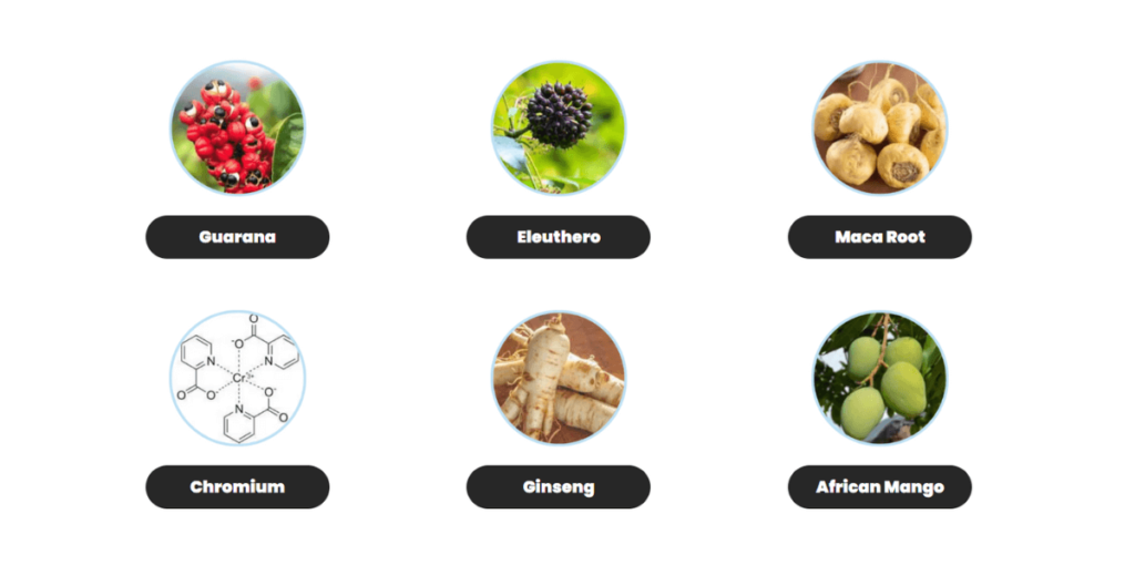 free-sugar-pro-ingredients